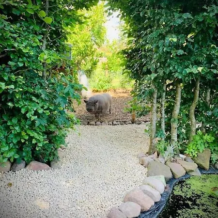 Beautiful Country Retreat For 6, With Free Parking