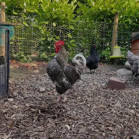 Lejlighed The Sty & The Stable